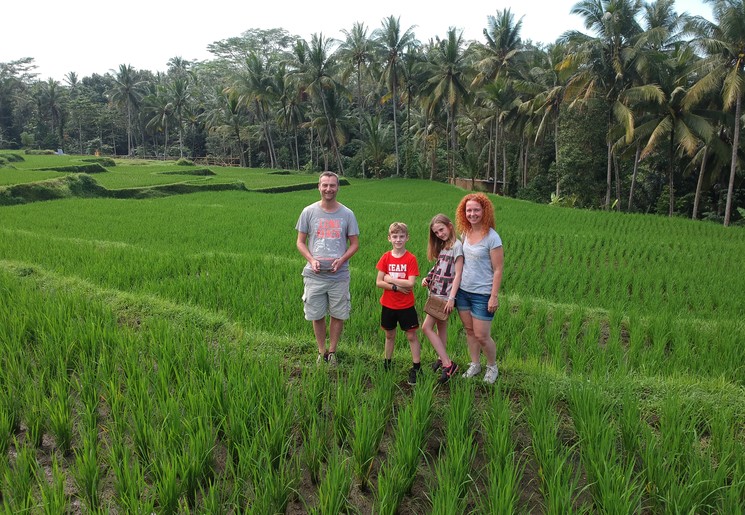 Samen met het gezin wandelen door de rijstvelden bij Ubud, Bali